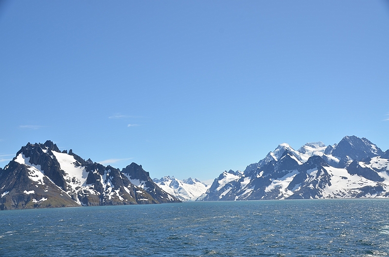365_Antarctica_South_Georgia_Drygalski_Fjord .JPG